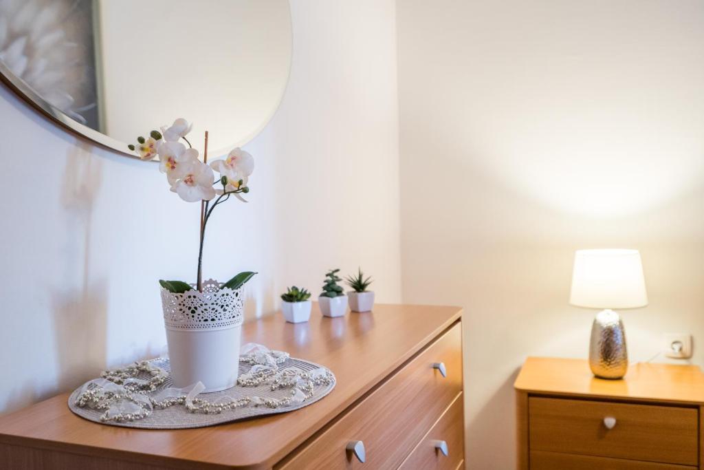Fotografia z galérie ubytovania Apartment in OLD TOWN with CITY VIEW v Splite