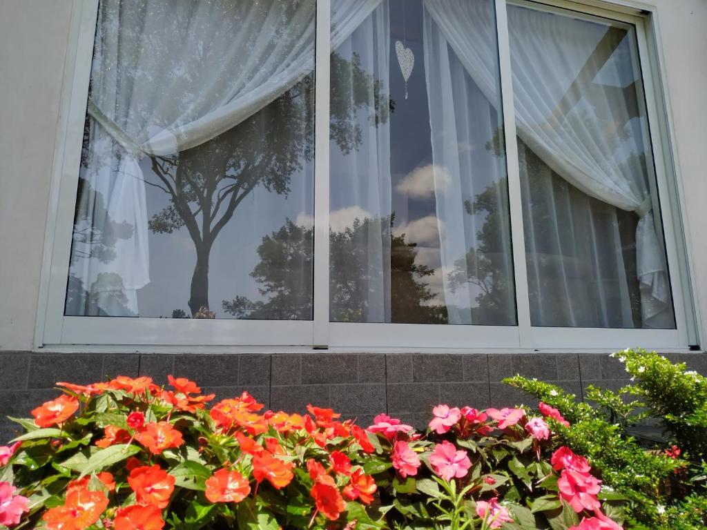  Villa Gruntal Hospedaria