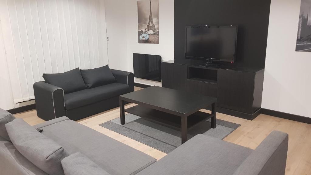 een woonkamer met een bank en een tv bij appart confort croix lille in Croix