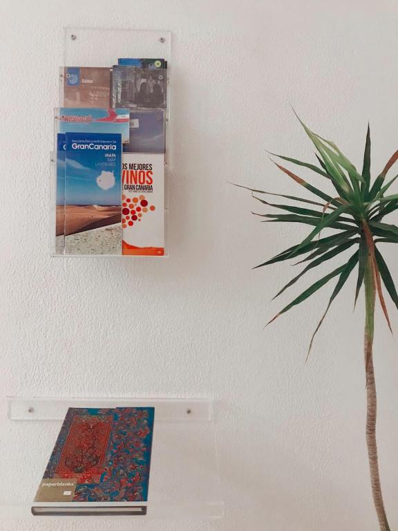 Fotografie z fotogalerie ubytování Gáldar, habitación privada en la playa v destinaci Gáldar