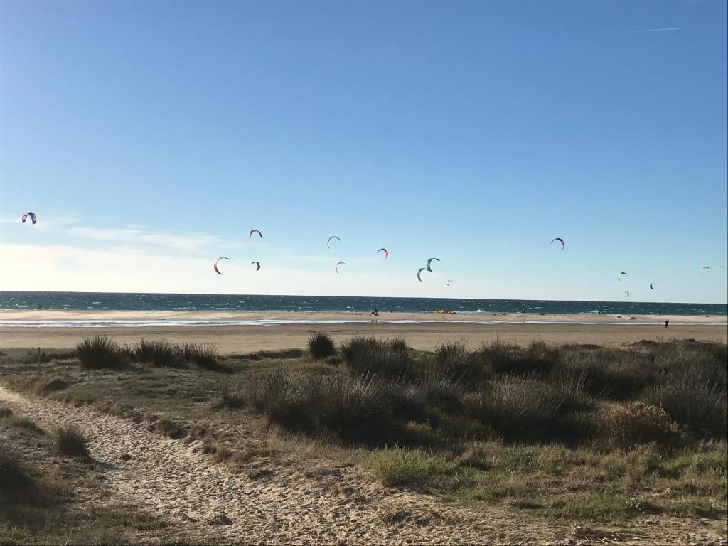 タリファにあるAPARTAMENTO WEEKEND 125の海上を飛ぶ凧の群れ