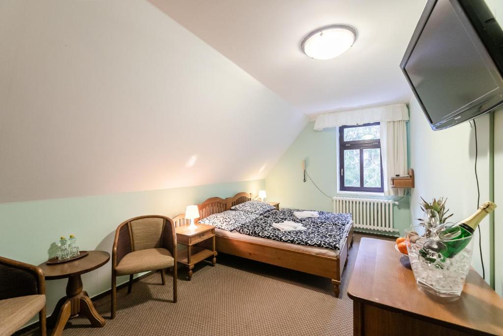 a small room with a bed and a tv at Hotel Perla Jizery in Josefuv dul