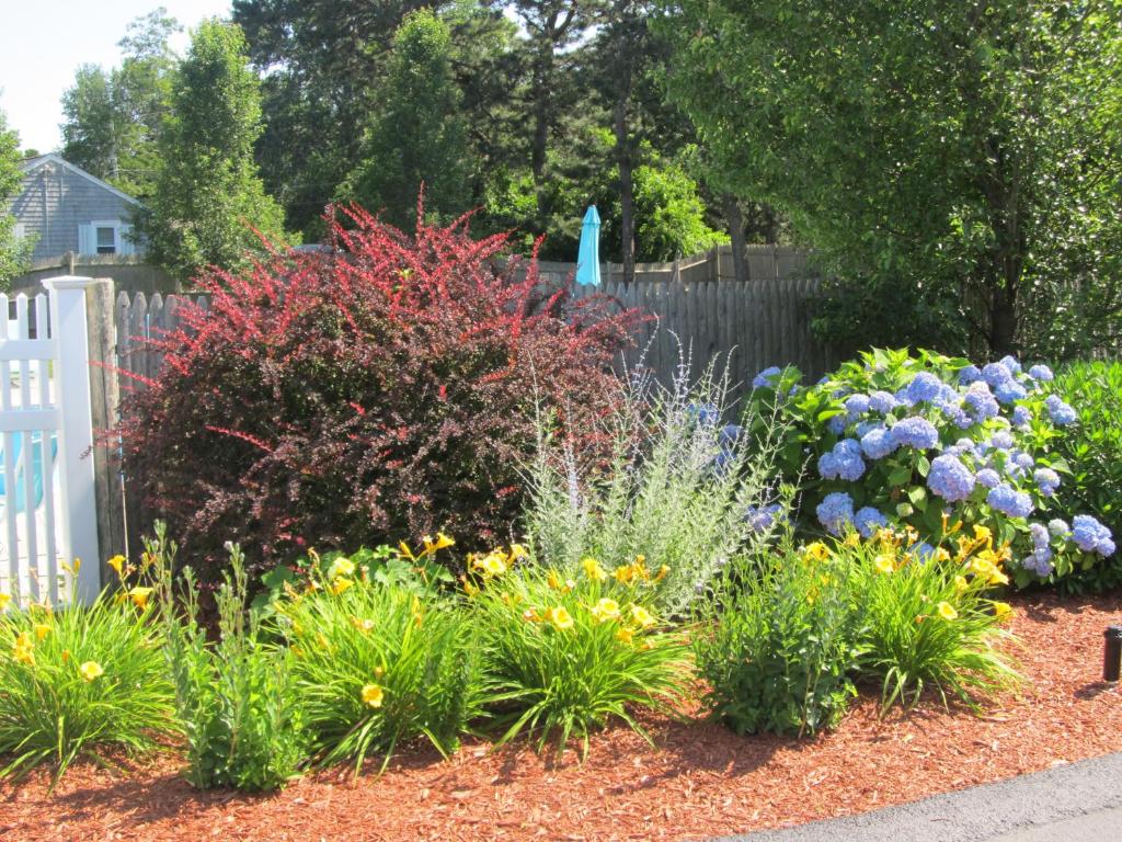 a garden of flowers in front of a fence at The Escape Inn in South Yarmouth