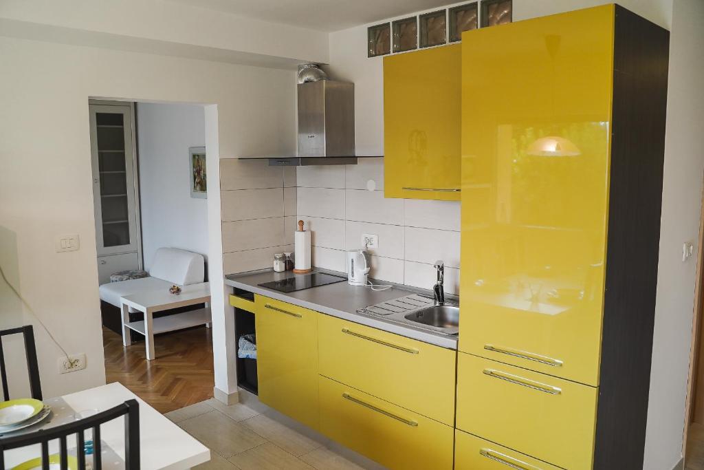 Kuchyň nebo kuchyňský kout v ubytování Garden View Apartments