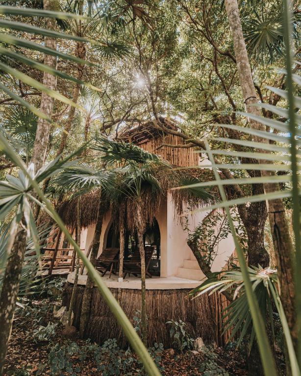 Zahrada ubytování Papaya Playa Project, Tulum, a Member of Design Hotels