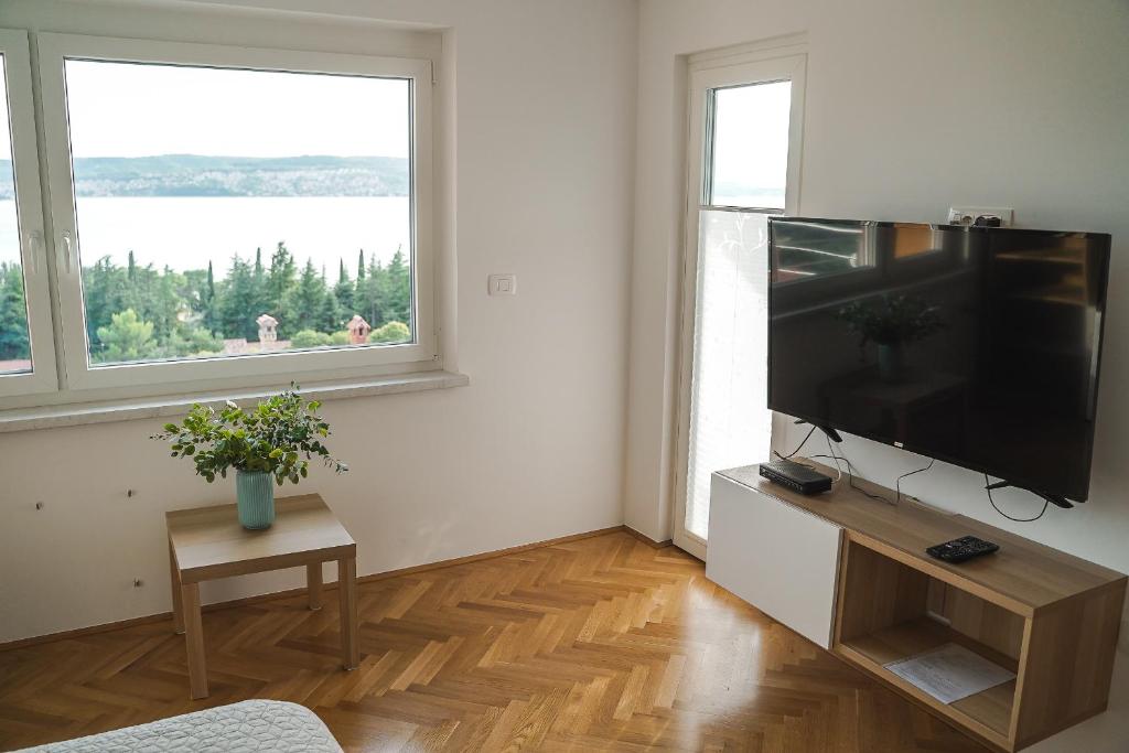 TV a/nebo společenská místnost v ubytování Garden View Apartments