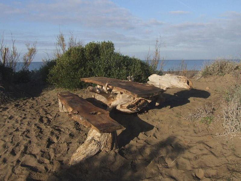 een houten bank op het zand bij de oceaan bij Peonia 6 pax in Sassetta