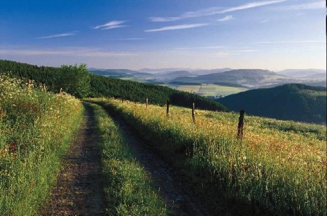 a dirt road in the middle of a grassy field at Fichtenweg 33 in Winterberg