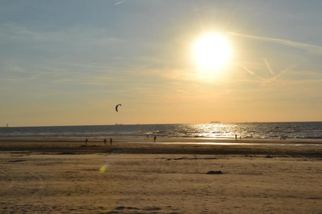 a group of people flying kites on the beach at Pipowagen op het park in 's-Gravenzande