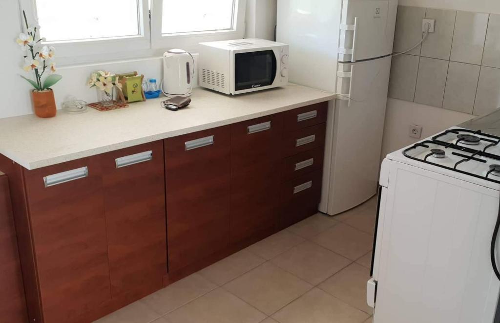 Kuchyňa alebo kuchynka v ubytovaní Apartmani Samanta Vir