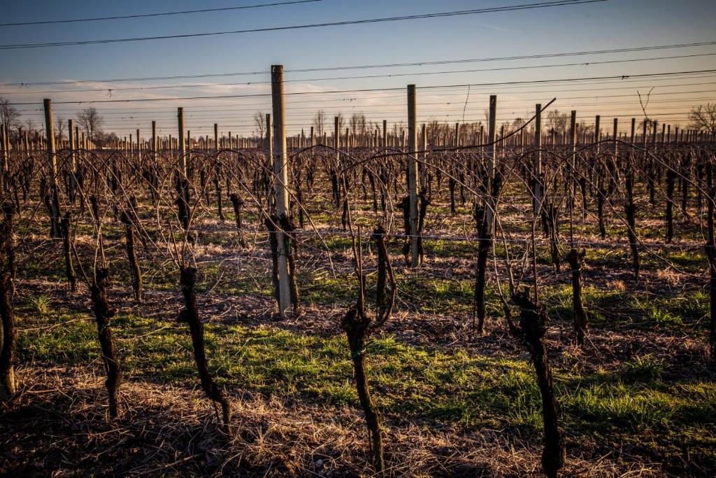 Kép Agriturismo iL CASONE szállásáról Zoppolában a galériában