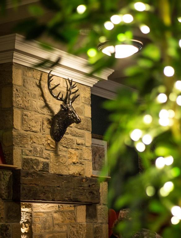 a moose head on a brick wall at The Portland in Ashington