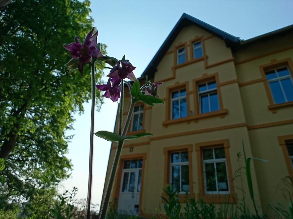 a house with purple flowers in front of it at Ferienwohnung Forsthaus in Neustadt am Rennsteig