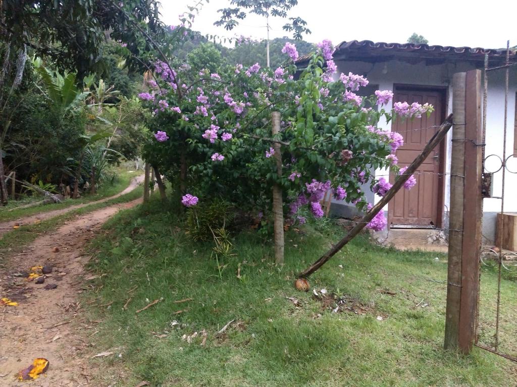  Sítio Floresta - O paraíso existe sim!
