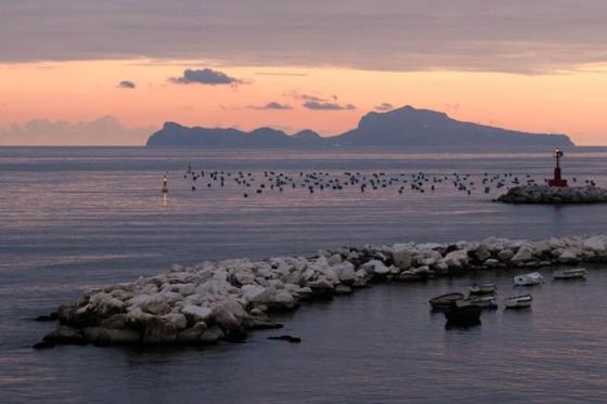 un groupe d’oiseaux volant au-dessus d’une masse d’eau dans l'établissement Terrazze del Lungomare, à Naples