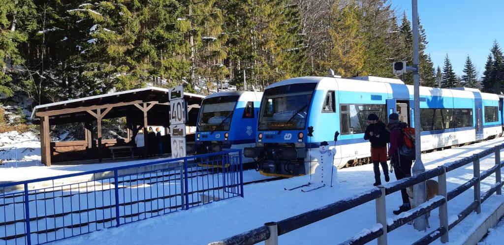 Harrachov Resident Apartments "Terrace & Chill" - high speed WiFi, možnost snídaně, Smart TV, Netflix, Disney plus - 15