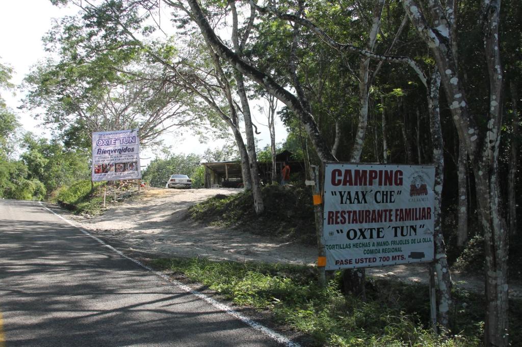 twee borden aan de kant van een weg bij Campamento Yaax Che en Calakmul in Conhuas