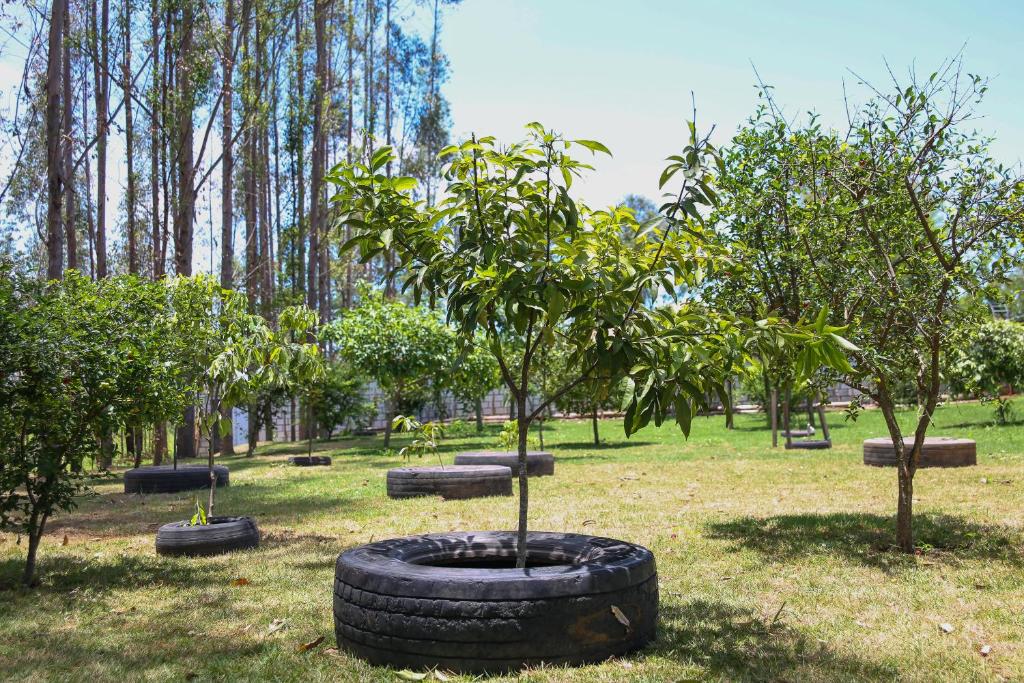  Casa de Campo Magnífica