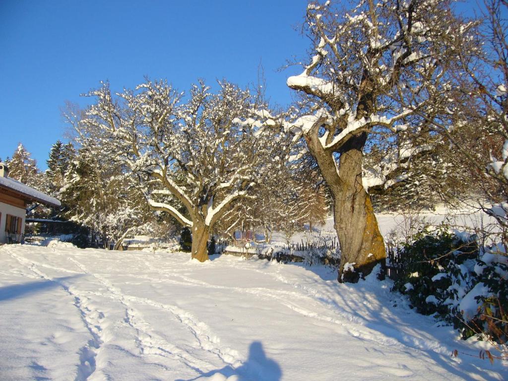 Obiekt Gastreinhof zimą