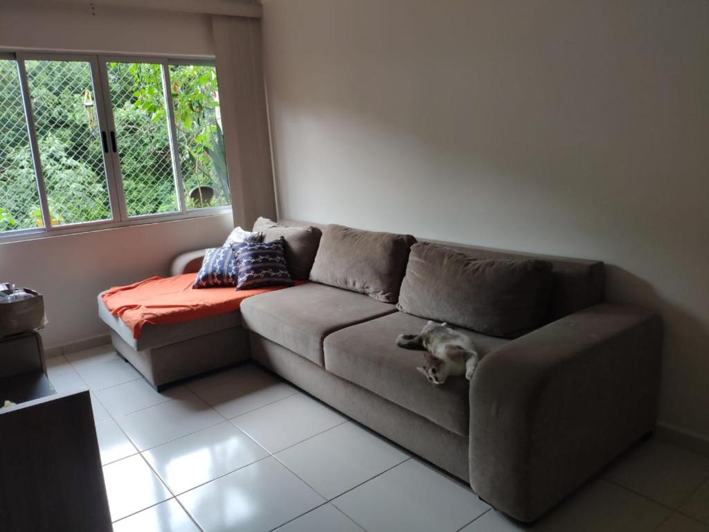  Apartamento Show Rural 2020