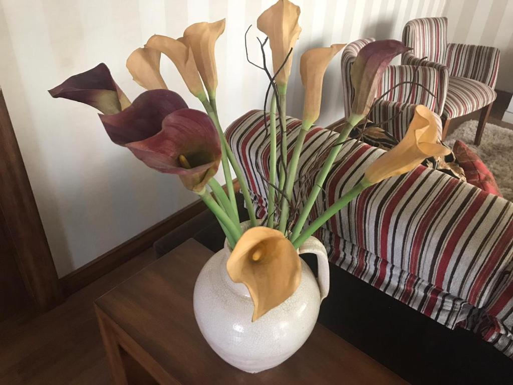  Residenciais Vista do Centro Gramado