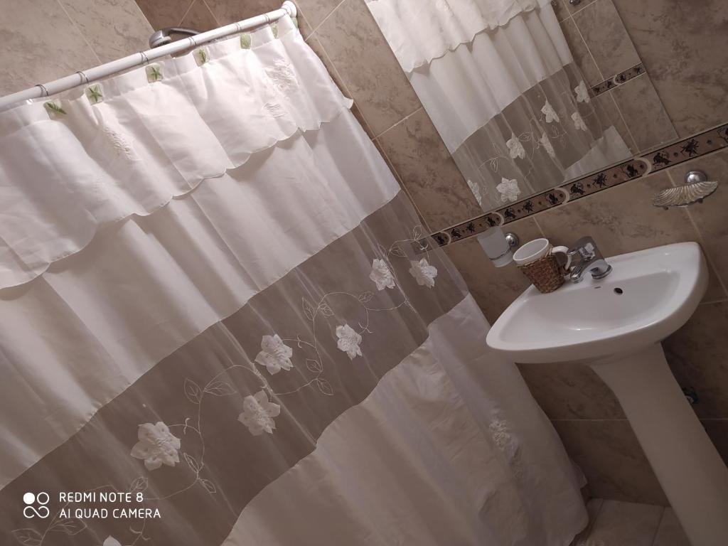 坦迪爾的住宿－Depto El Puma，浴室配有淋浴帘和盥洗盆。