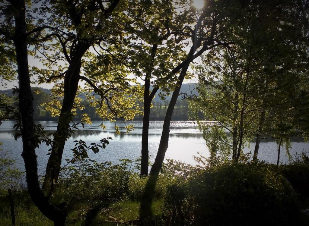 Příroda nedaleko apartmánu