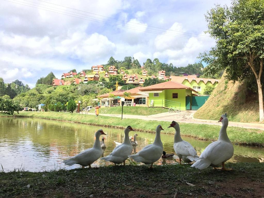  Hotel Fazenda China Park