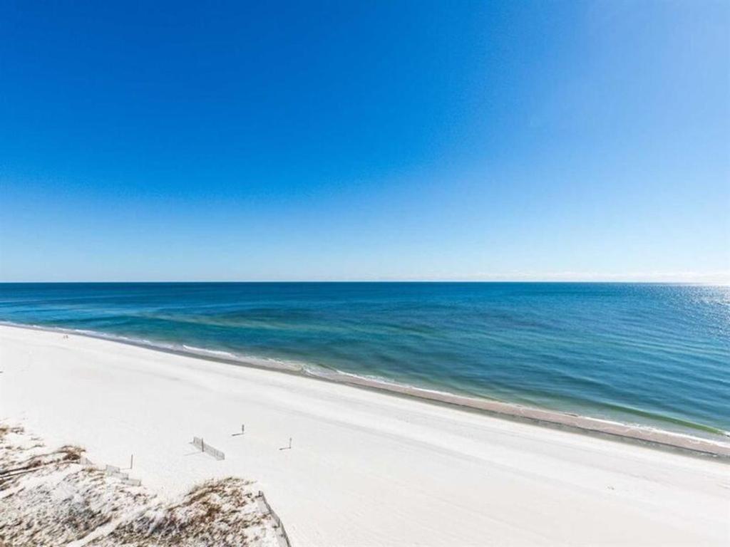 a beach with birds on the sand and the ocean at Tradewinds Condos II in Orange Beach
