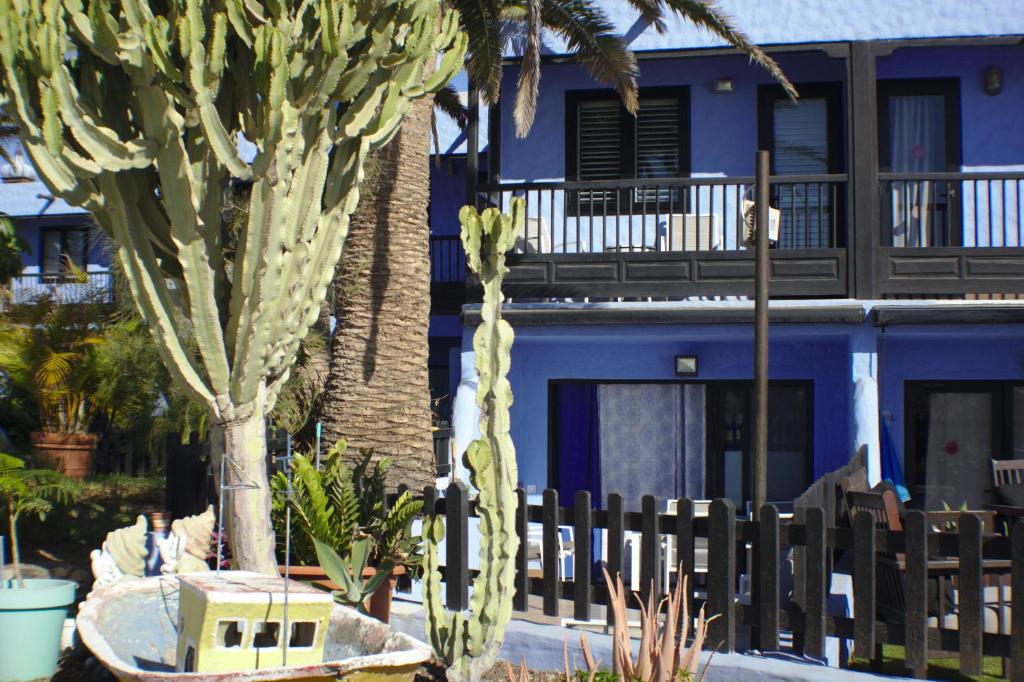 ein blaues Gebäude mit Palmen und einem Zaun in der Unterkunft Bungalow Playa del Aguila in Maspalomas