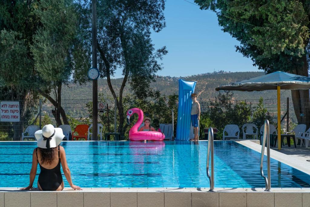 Bazén v ubytování Tzuba Hotel nebo v jeho okolí