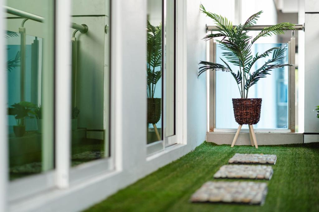 Zahrada ubytování SVOK Hotel