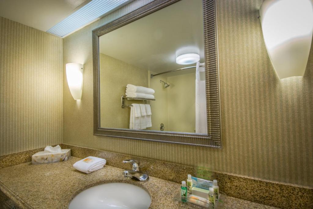 Holiday Inn Arlington at Ballston, an IHG Hotel - Standard Room With Two Queen Beds