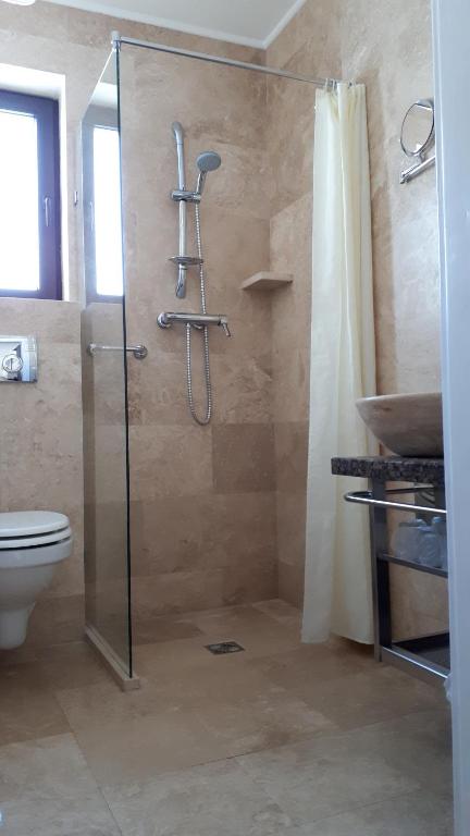 Transylvania Villa & Spa - 4