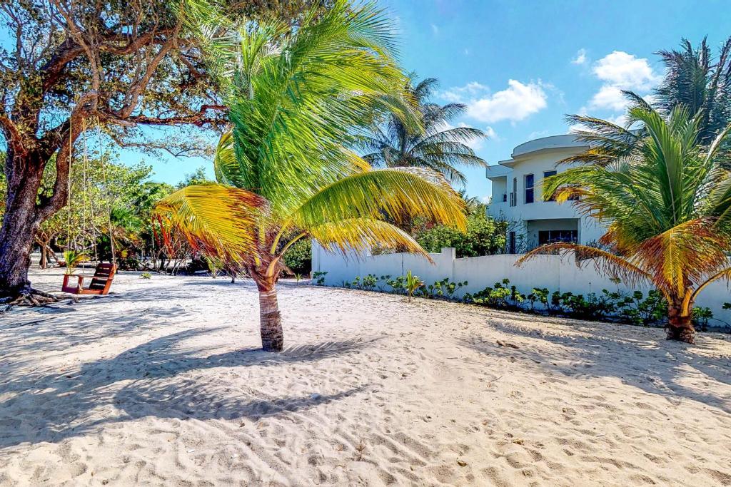 a palm tree on the beach in front of a house at Casa Nettuno in Placencia Village