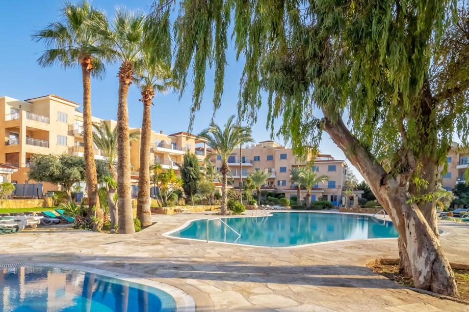 a swimming pool with palm trees and condos at 207 Kings Palace Seaview in Paphos