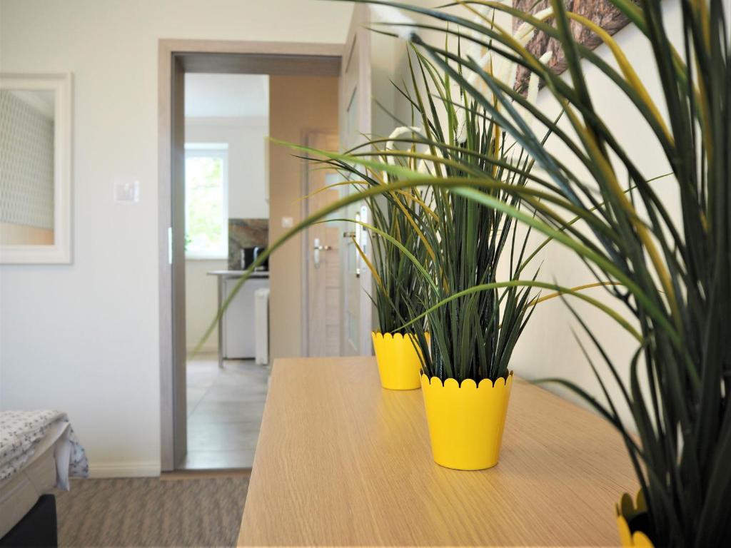 Kuchyňa alebo kuchynka v ubytovaní Apartamenty Dobranoc - Wawer 2
