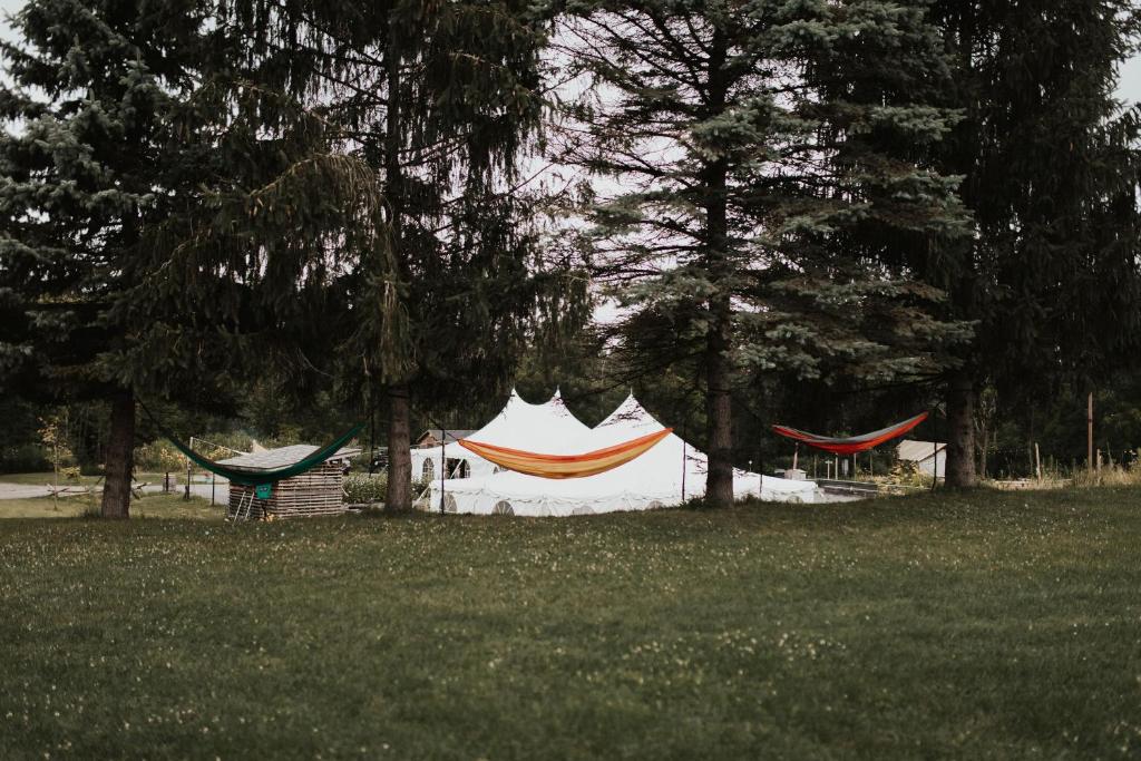Fotografie z fotogalerie ubytování Firelight Camps v destinaci Ithaca