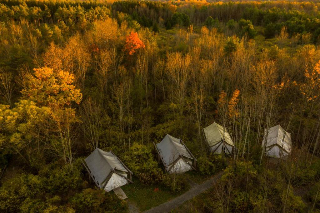 Příroda nedaleko luxury tent