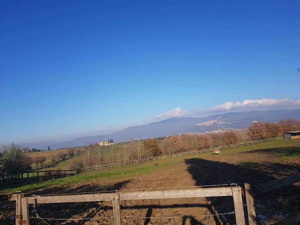 Príroda v okolí dovolenkového domu