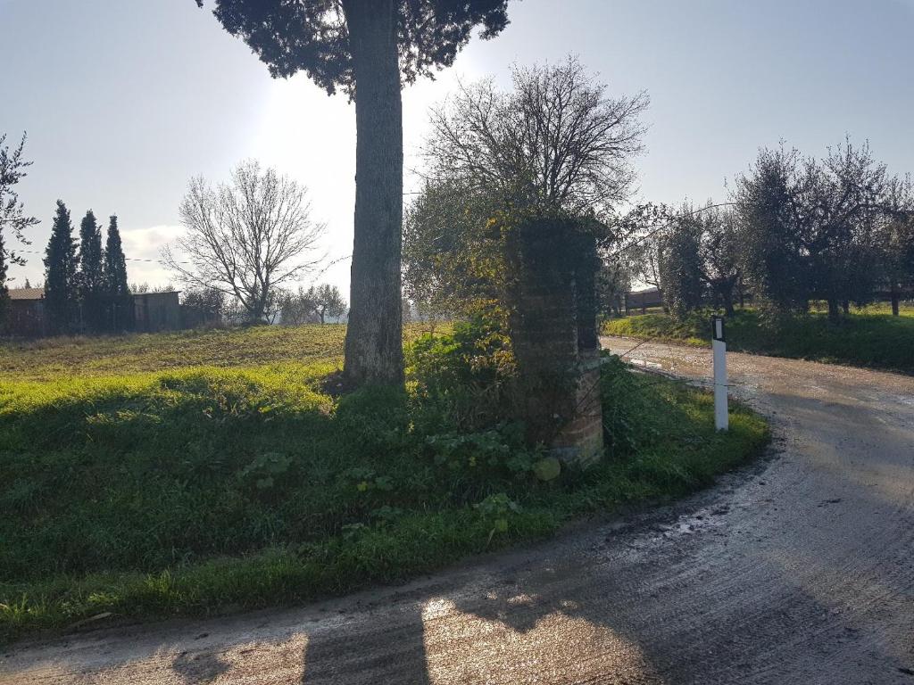 Vonkajšia záhrada v ubytovaní Cortona Gabolina e Turata Holiday Home