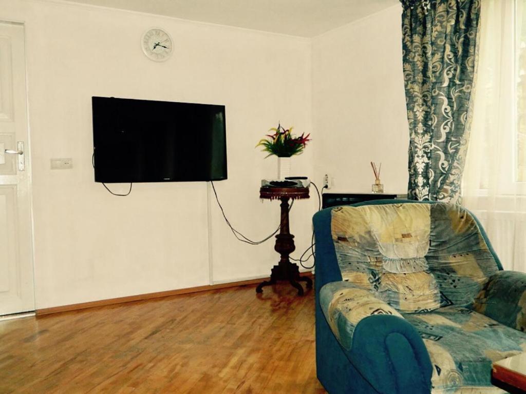 TV a/nebo společenská místnost v ubytování Erik's Guest House