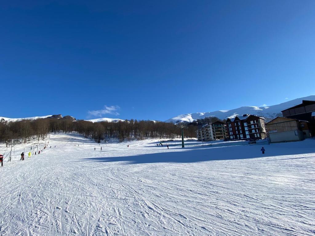 Snow Pine Suite - 4 Star Resort talvel