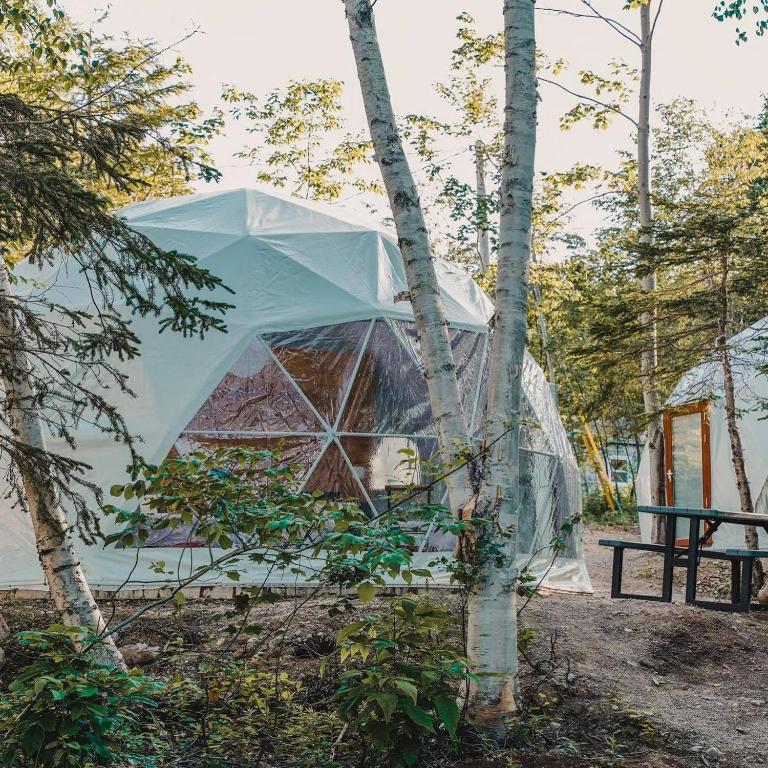Zahrada ubytování Blue Bayou Resort, Cape Breton