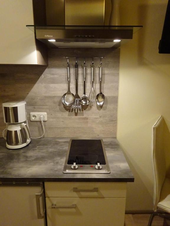 Kuchyň nebo kuchyňský kout v ubytování Apartment zum Wasserfall