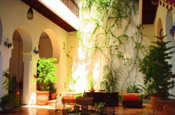 梅克內斯的住宿－里亞德巴伊亞酒店，充满了许多盆栽植物的房间