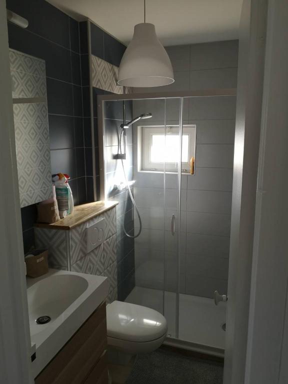 a bathroom with a shower and a toilet and a sink at L'escale Granvillaise in Granville