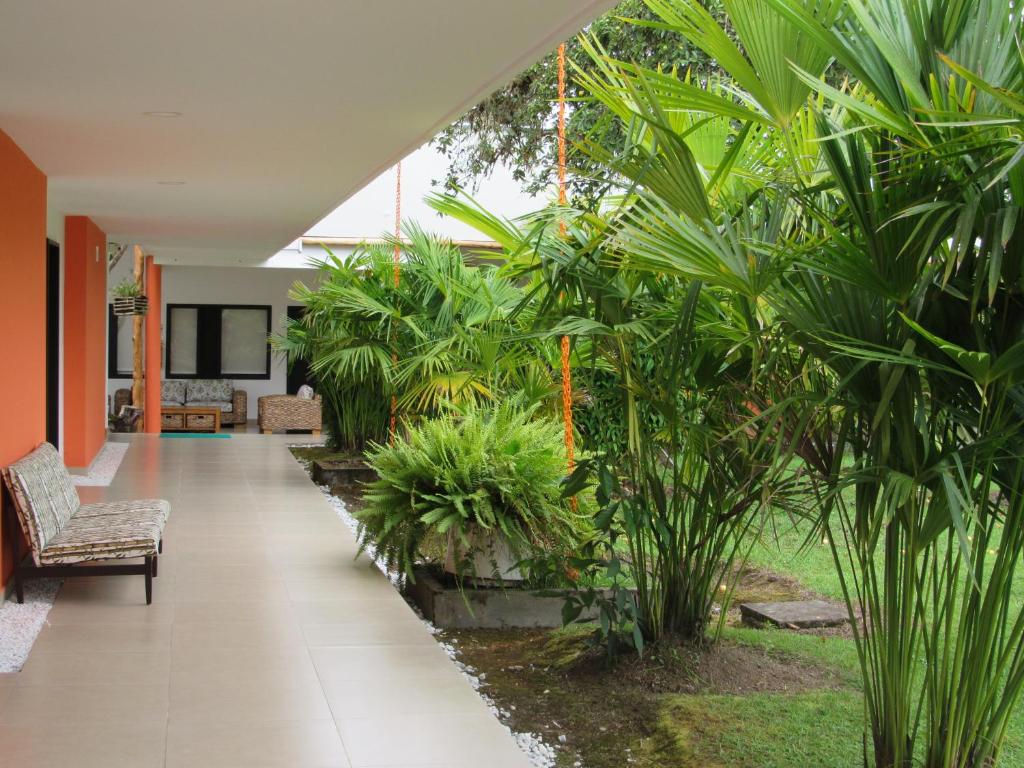 Zahrada ubytování Hotel Yalconia