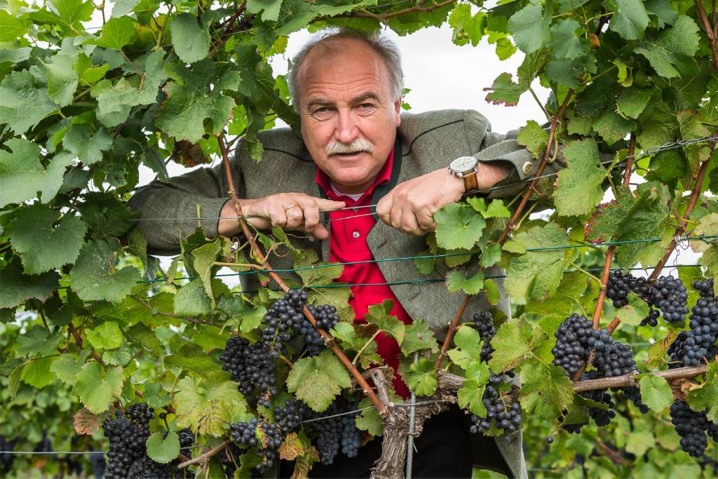 Hosté ubytování Wein & Landhaus Willi Opitz