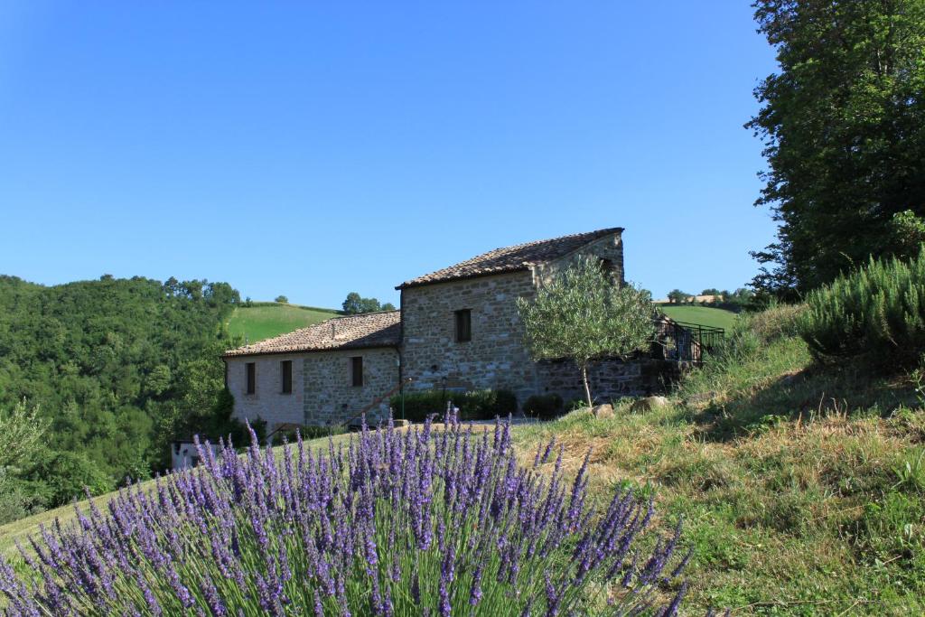 ペルゴラにあるAgriturismo Carinconeの紫の花々が咲く丘の上の古い石造りの家